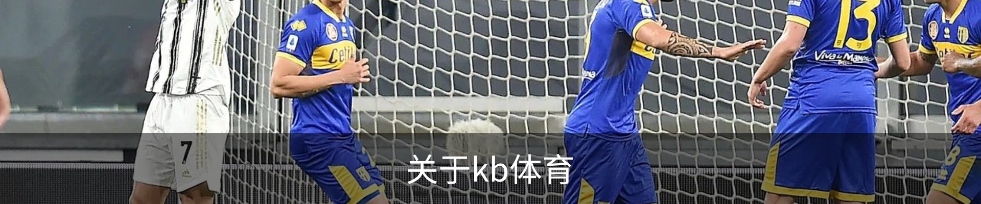 关于kb体育